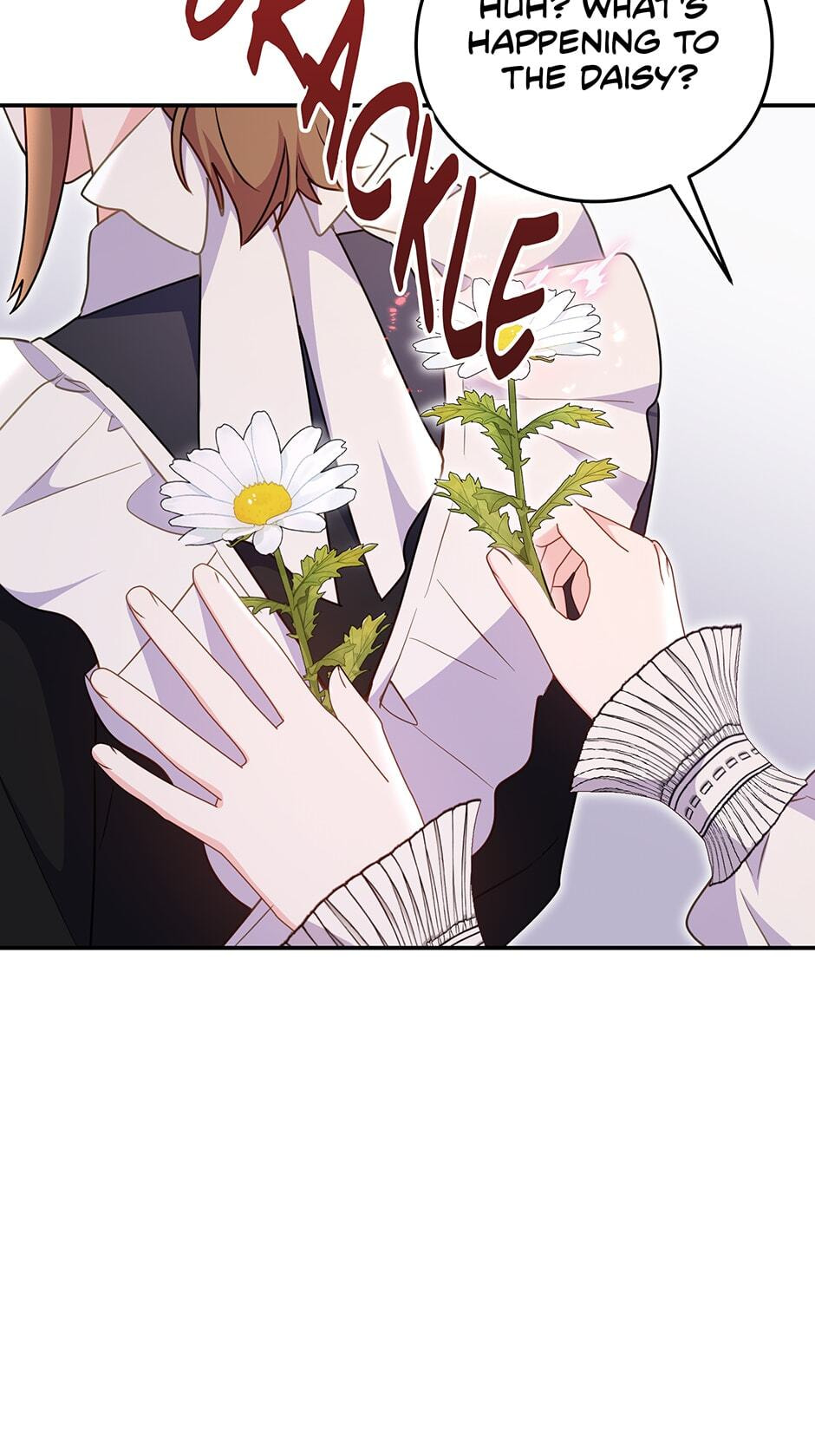 The Villainess Captured the Grand Duke Chapter 11.1 page 45 - 