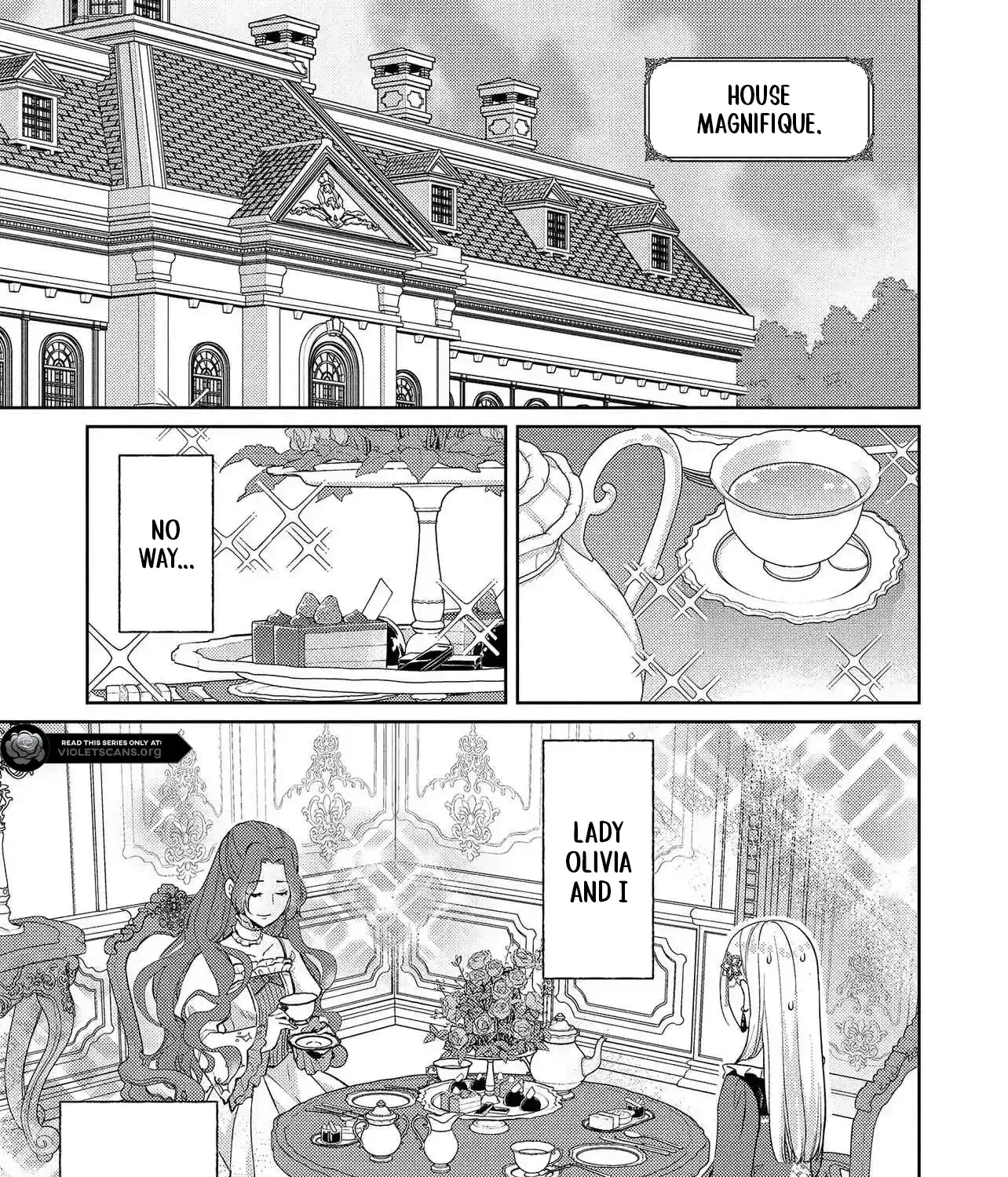 The Villainess Chocolatier