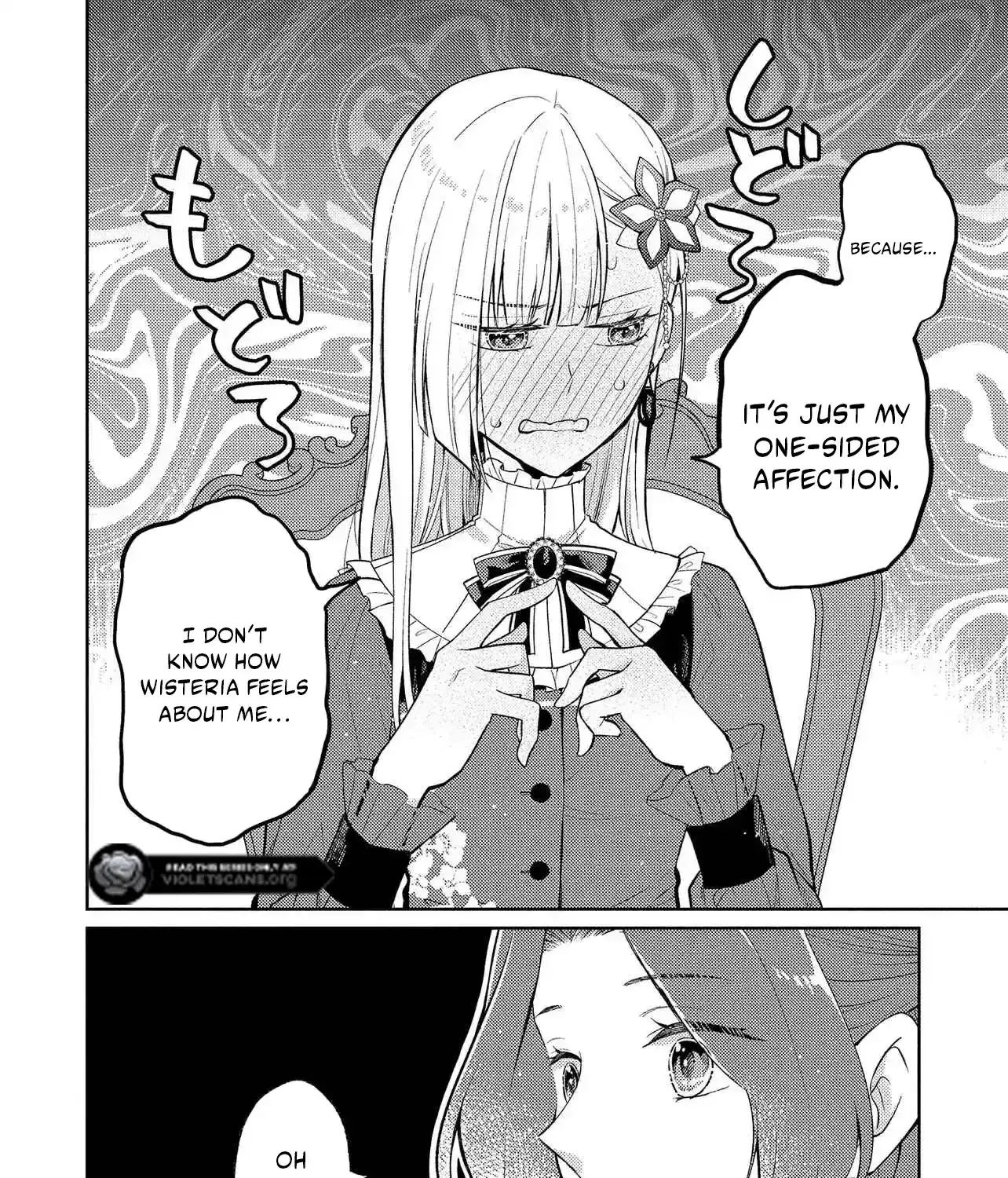 The Villainess Chocolatier