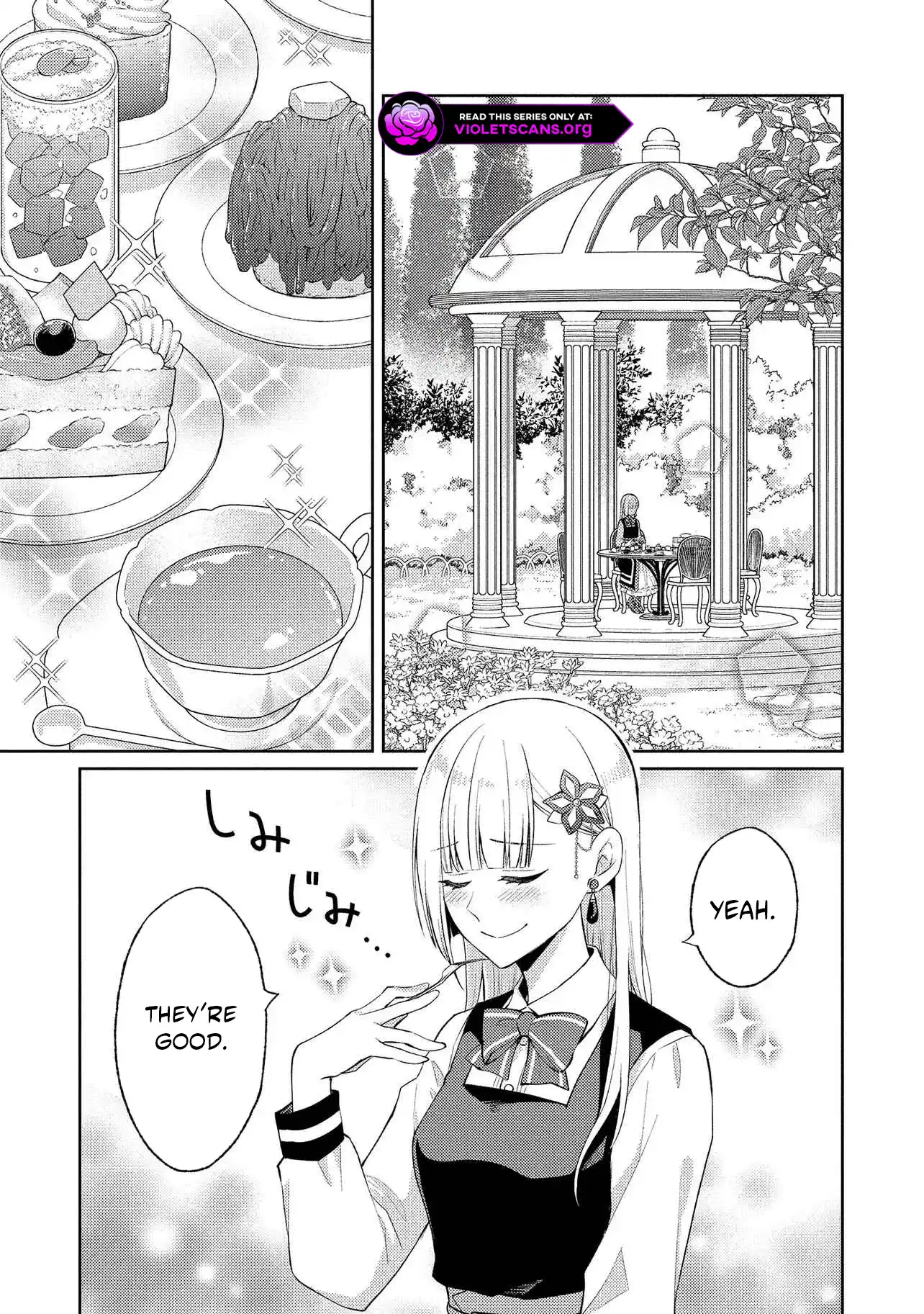 The Villainess Chocolatier