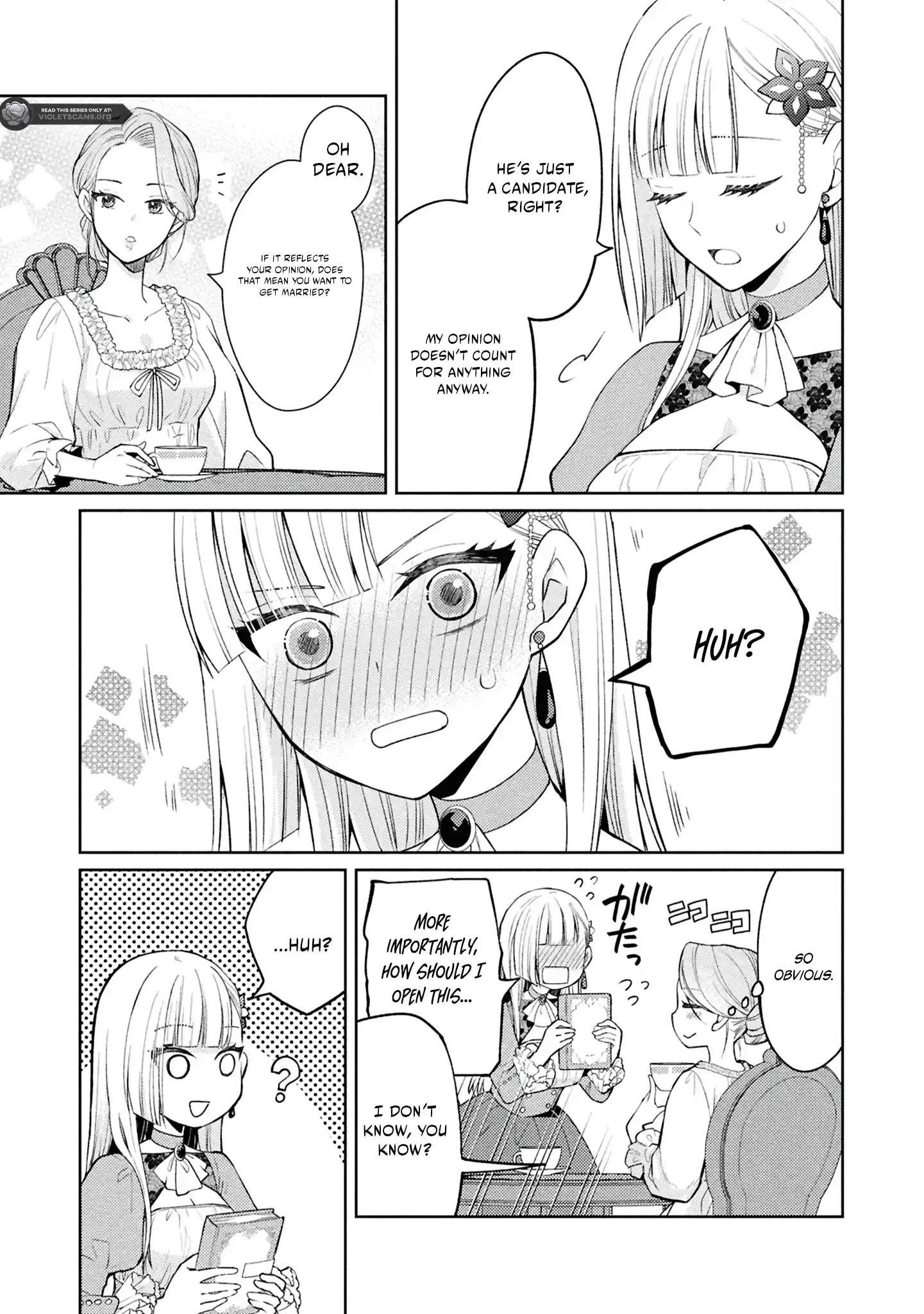 The Villainess Chocolatier