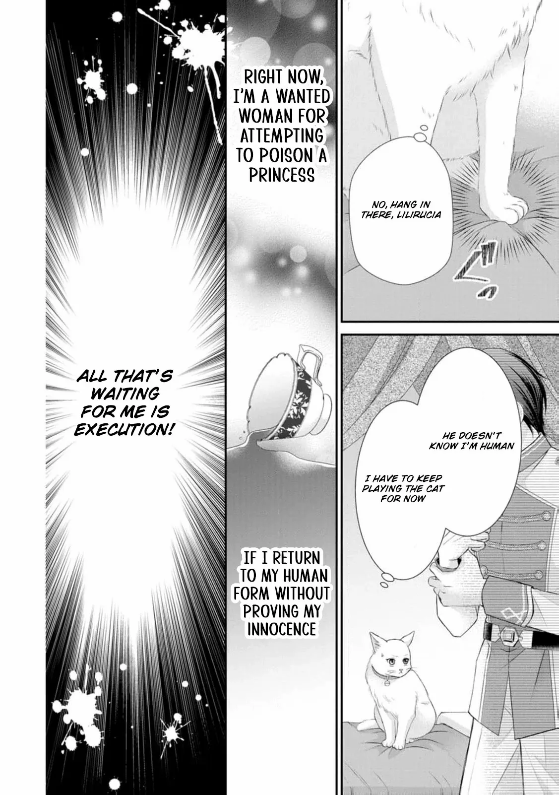 The Villainess Cursed into a Cat Is Taken In by the Crown Prince Chapter 1 page 9 - 