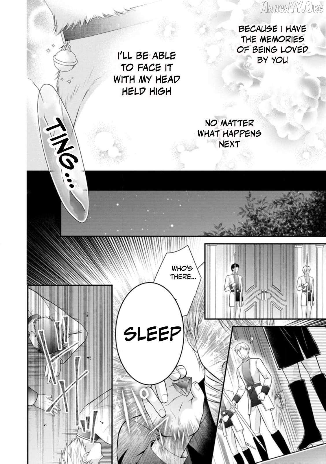 The Villainess Cursed into a Cat Is Taken In by the Crown Prince Chapter 13 page 27 - 
