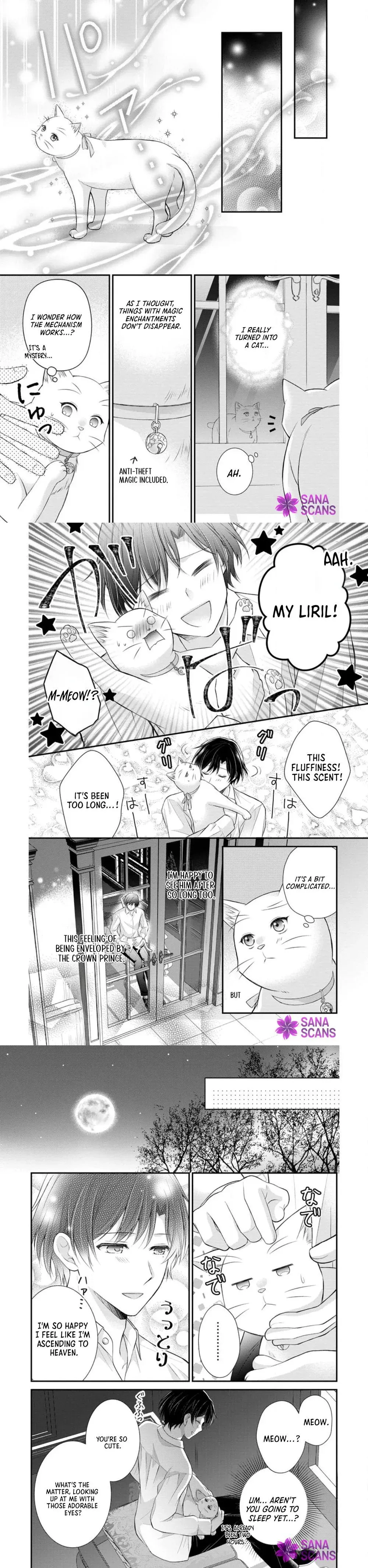 The Villainess Cursed into a Cat Is Taken In by the Crown Prince Chapter 16 page 9 - 