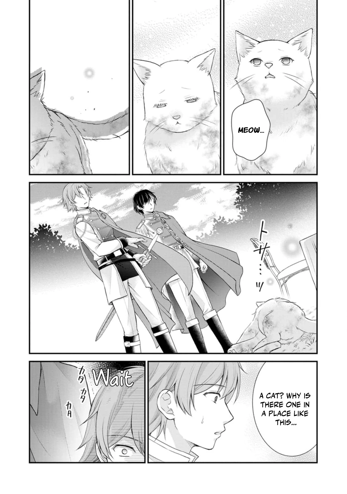 The Villainess Cursed into a Cat Is Taken In by the Crown Prince Chapter 2 page 24 - 