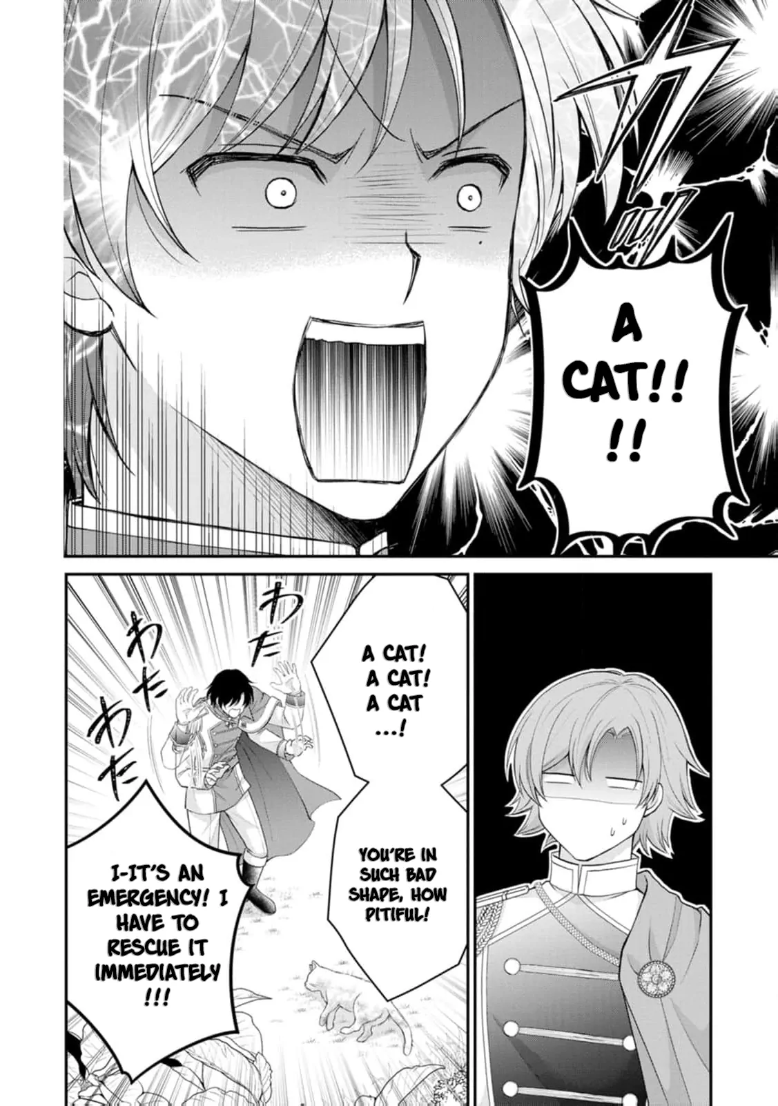 The Villainess Cursed into a Cat Is Taken In by the Crown Prince Chapter 2 page 25 - 