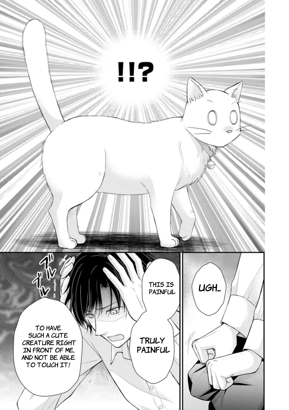The Villainess Cursed into a Cat Is Taken In by the Crown Prince Chapter 3 page 11 - 