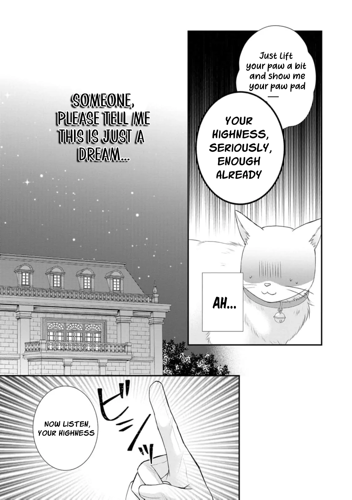 The Villainess Cursed into a Cat Is Taken In by the Crown Prince Chapter 3 page 17 - 