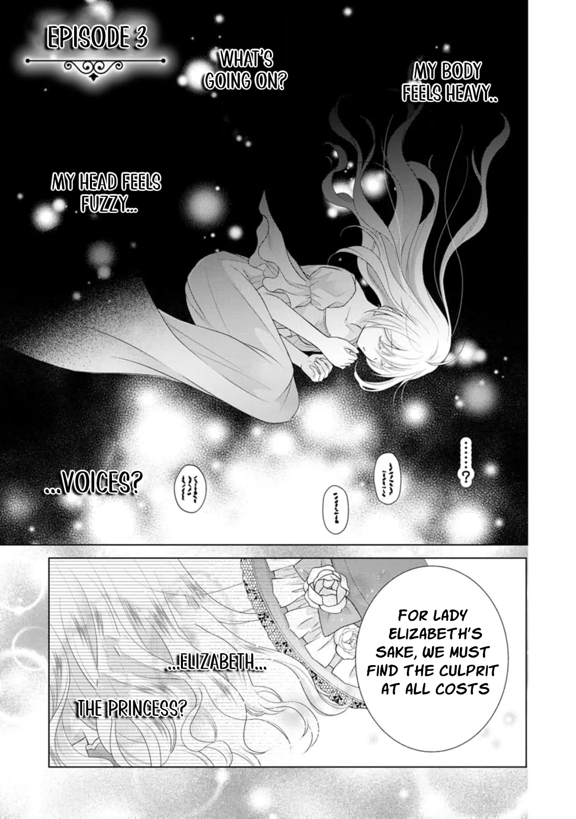 The Villainess Cursed into a Cat Is Taken In by the Crown Prince Chapter 3 page 5 - 