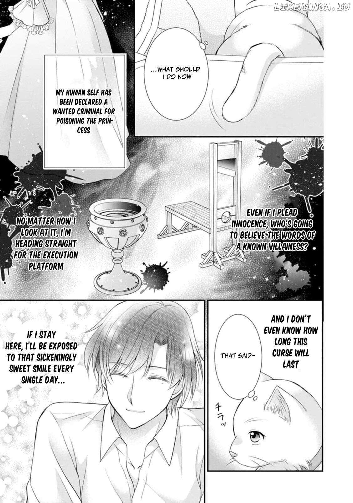 The Villainess Cursed into a Cat Is Taken In by the Crown Prince Chapter 4 page 7 - 