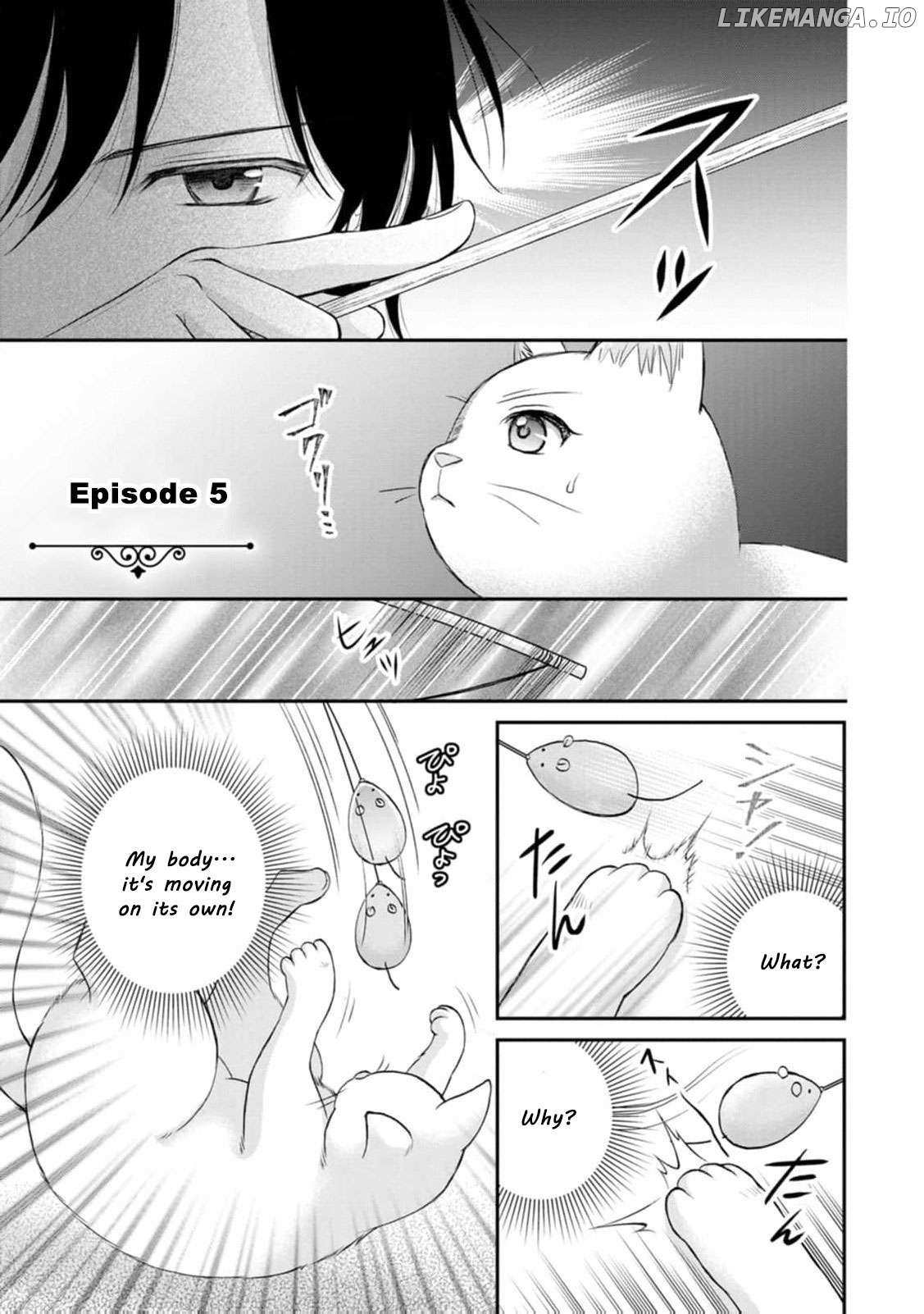 The Villainess Cursed into a Cat Is Taken In by the Crown Prince Chapter 5 page 4 - 