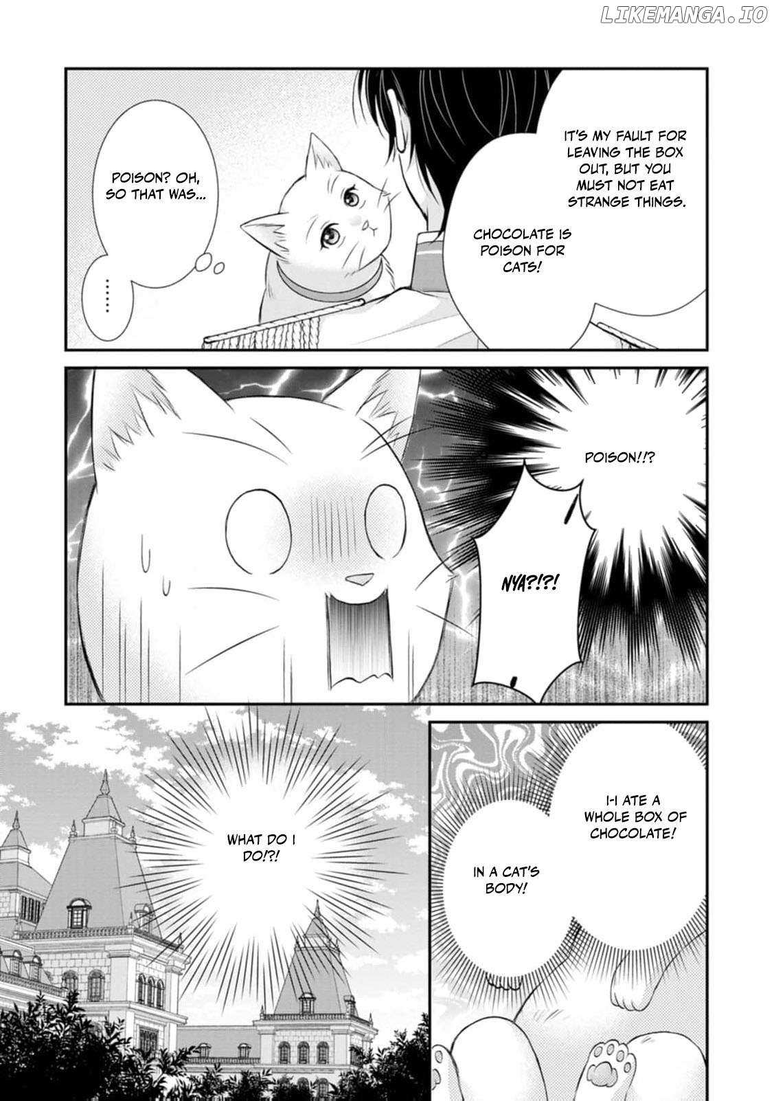 The Villainess Cursed into a Cat Is Taken In by the Crown Prince Chapter 6 page 28 - 