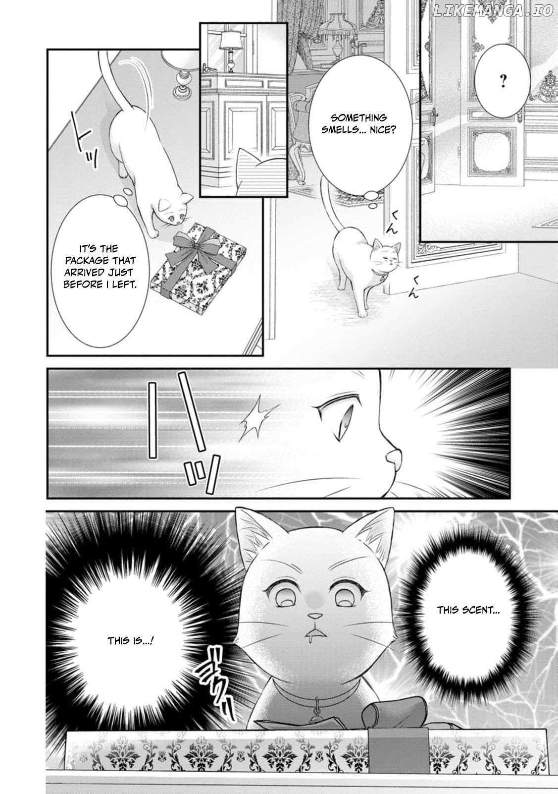 The Villainess Cursed into a Cat Is Taken In by the Crown Prince Chapter 6 page 7 - 