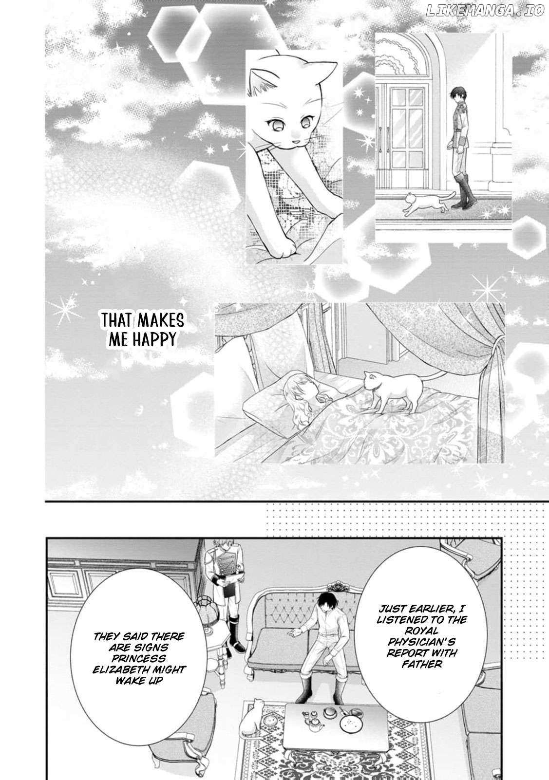 The Villainess Cursed into a Cat Is Taken In by the Crown Prince Chapter 7 page 13 - 
