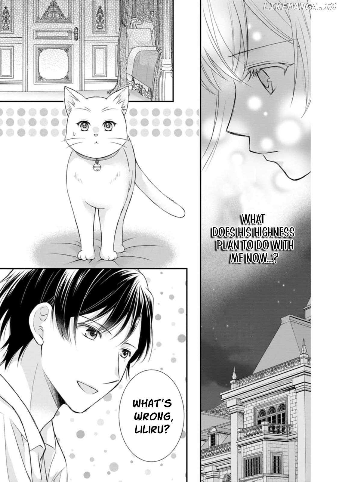 The Villainess Cursed into a Cat Is Taken In by the Crown Prince Chapter 8 page 22 - 