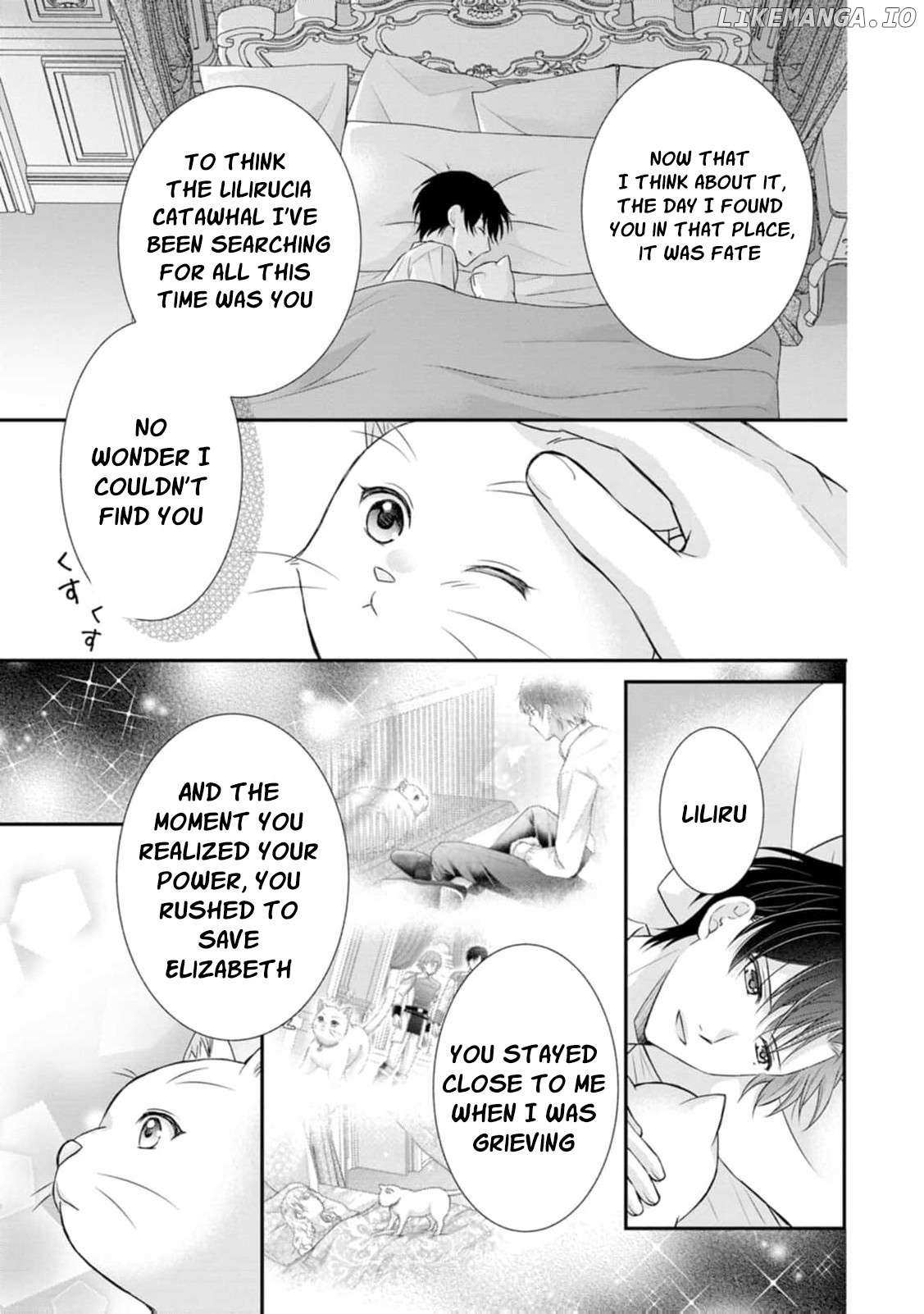 The Villainess Cursed into a Cat Is Taken In by the Crown Prince Chapter 8 page 28 - 