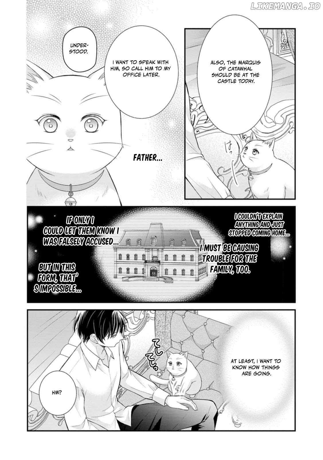 The Villainess Cursed into a Cat Is Taken In by the Crown Prince Chapter 9 page 15 - 
