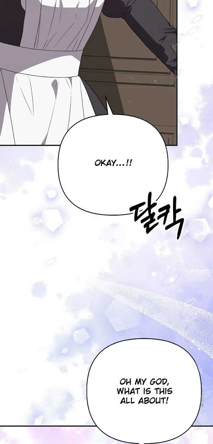 The Villainess Hides Her Wealth Chapter 24 page 19 - 