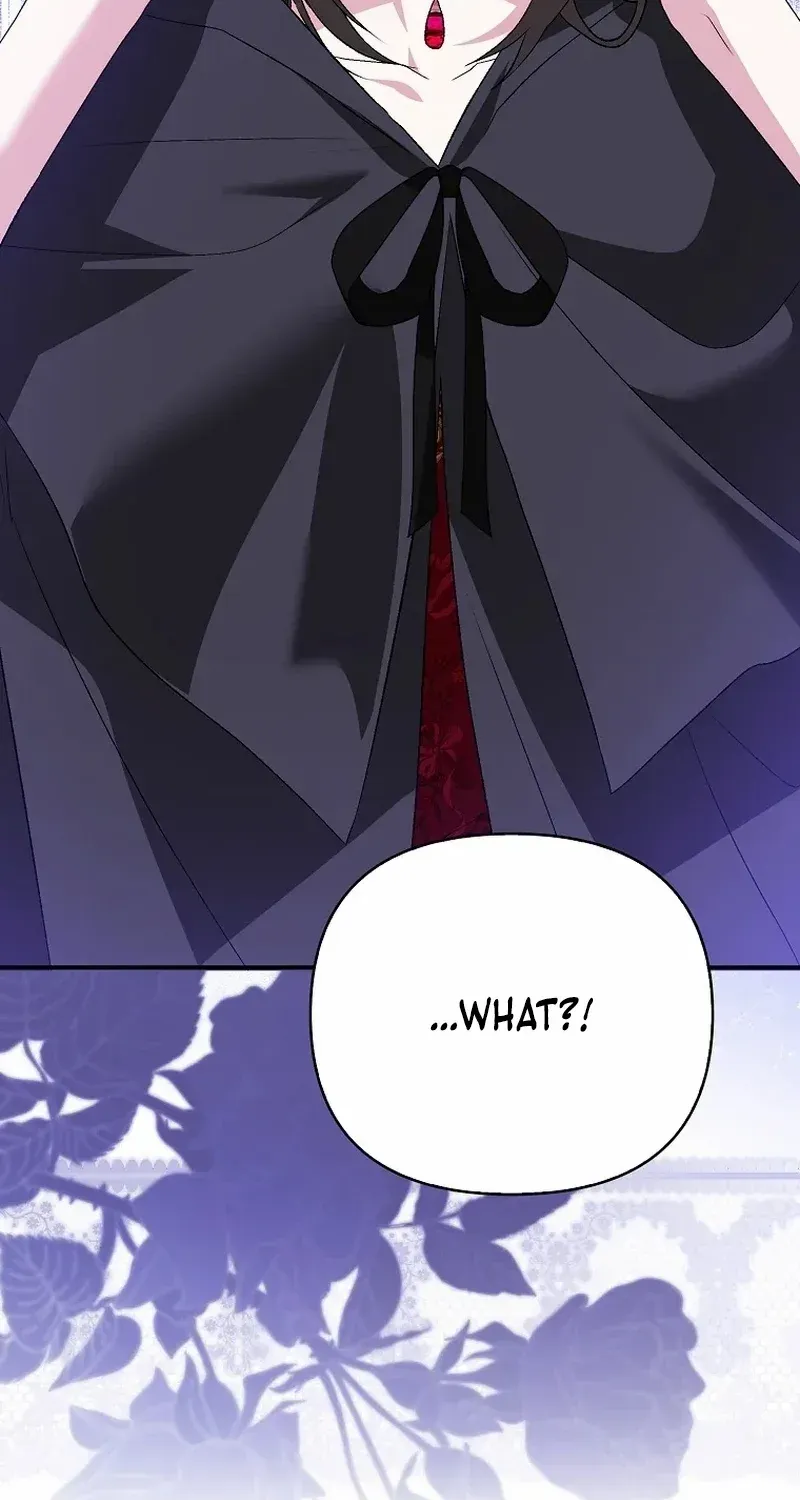 The Villainess Hides Her Wealth Chapter 26 page 41 - 