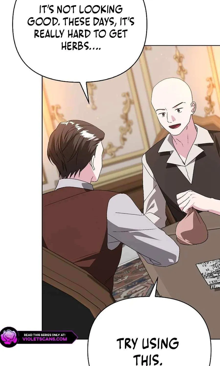 The Villainess Hides Her Wealth Chapter 33 page 14 - 