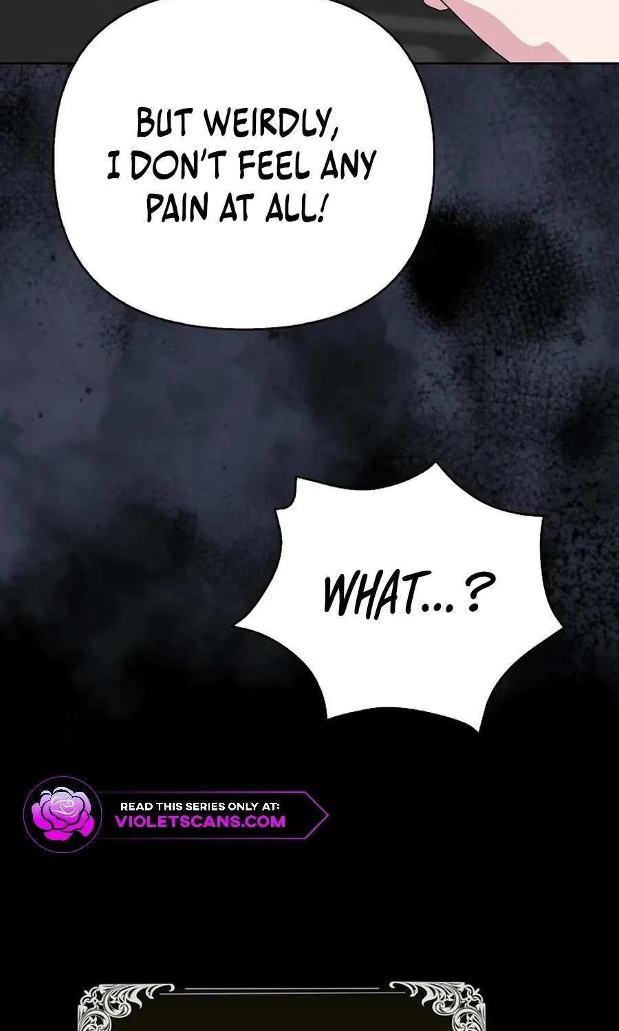 The Villainess Hides Her Wealth Chapter 33 page 45 - 