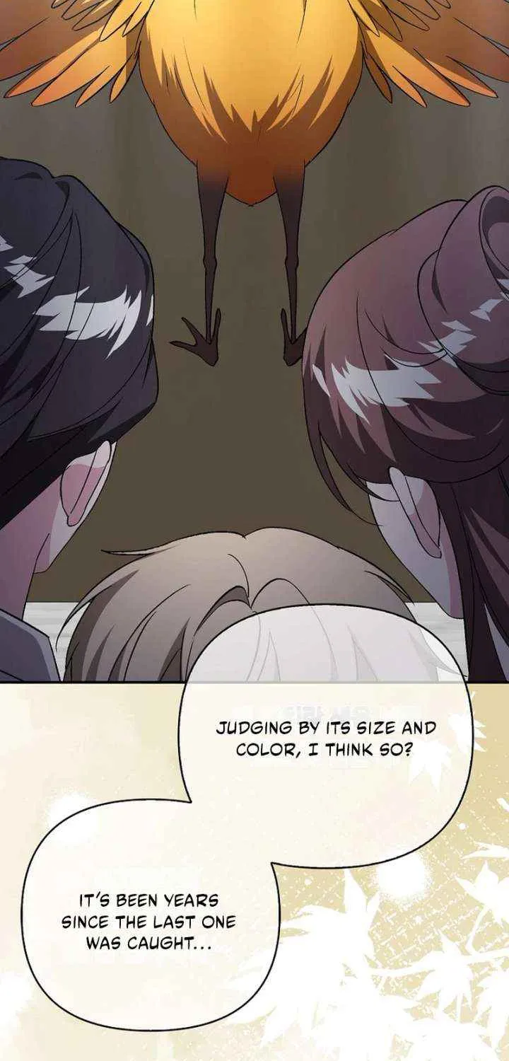 The Villainess Hides Her Wealth Chapter 47 page 64 - 