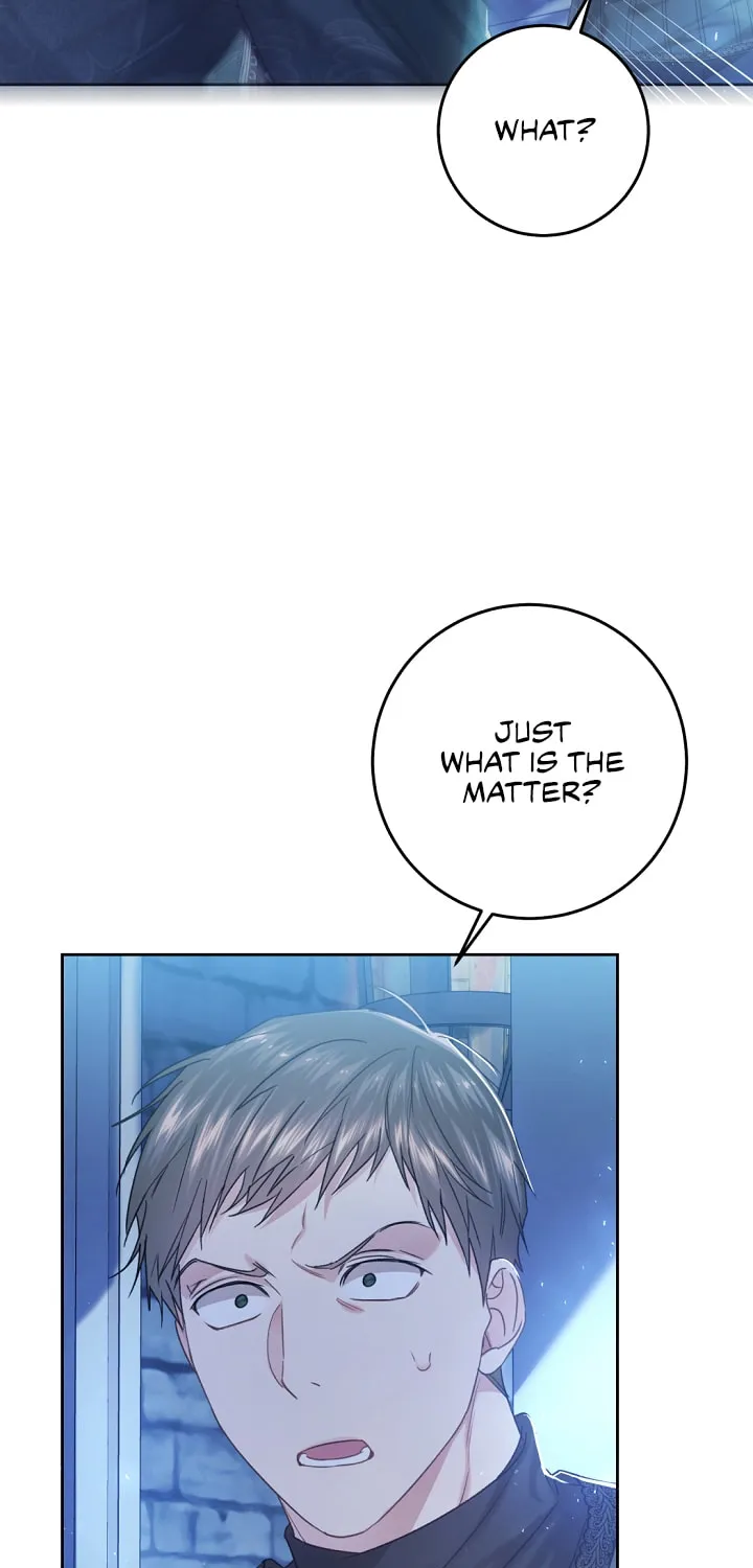 The Villainess is a Marionette Chapter 56 page 65 - 