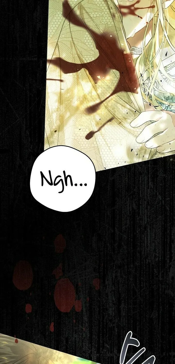 The Villainess is a Marionette Chapter 62 page 63 - 