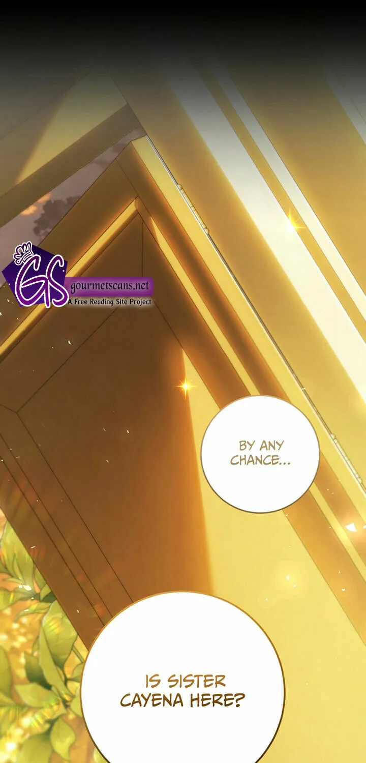 The Villainess is a Marionette Chapter 72 page 37 - 