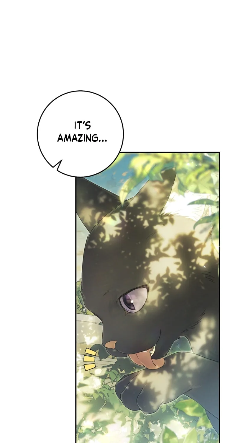 The Villainess is a Marionette Chapter 86 page 64 - 
