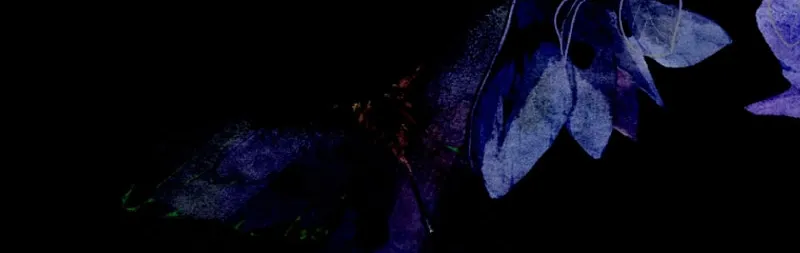 The Villainess is a Marionette Chapter 87 page 42 - 