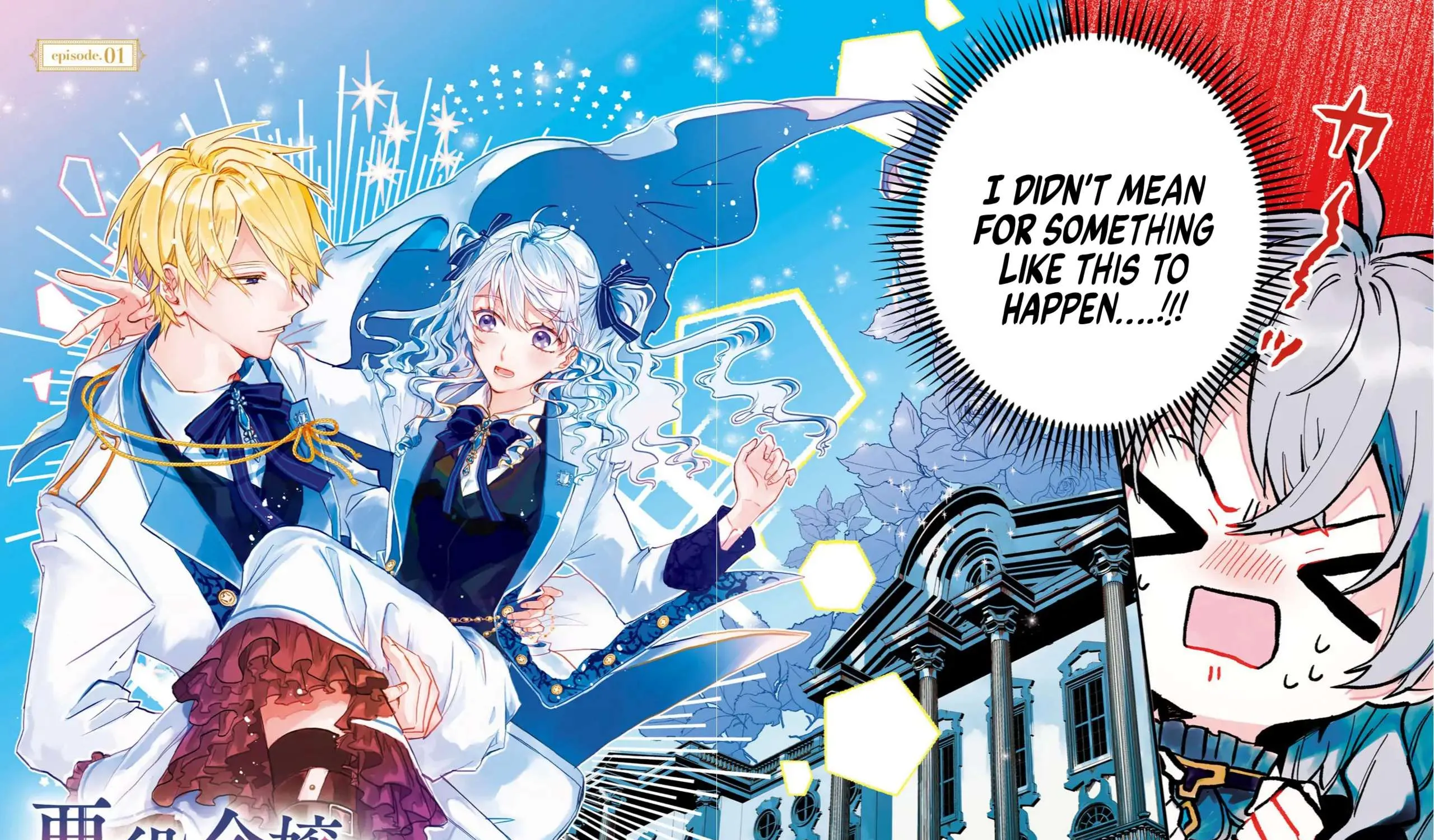 The Villainess is oblivious to the Prince