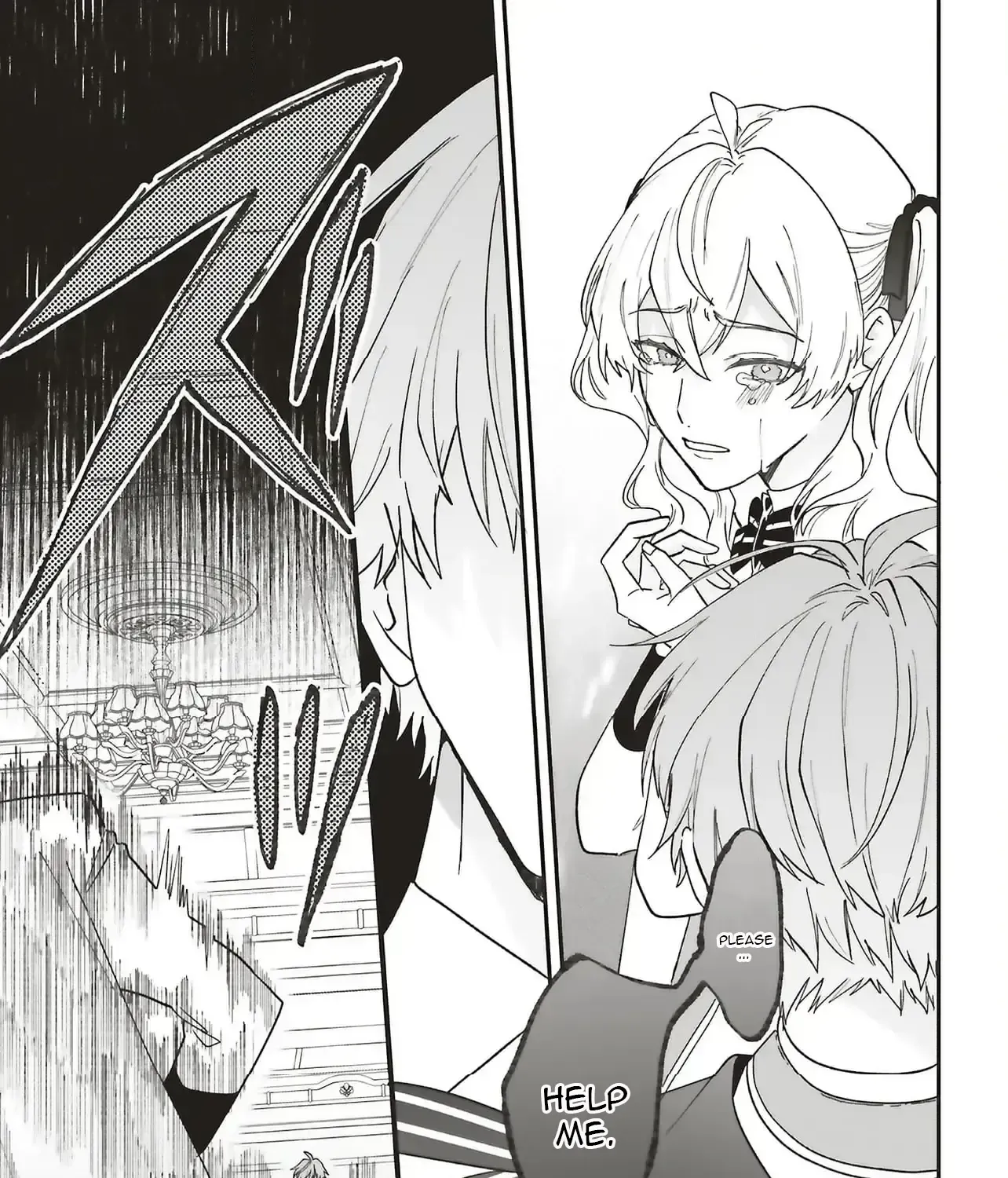 The Villainess is oblivious to the Prince
