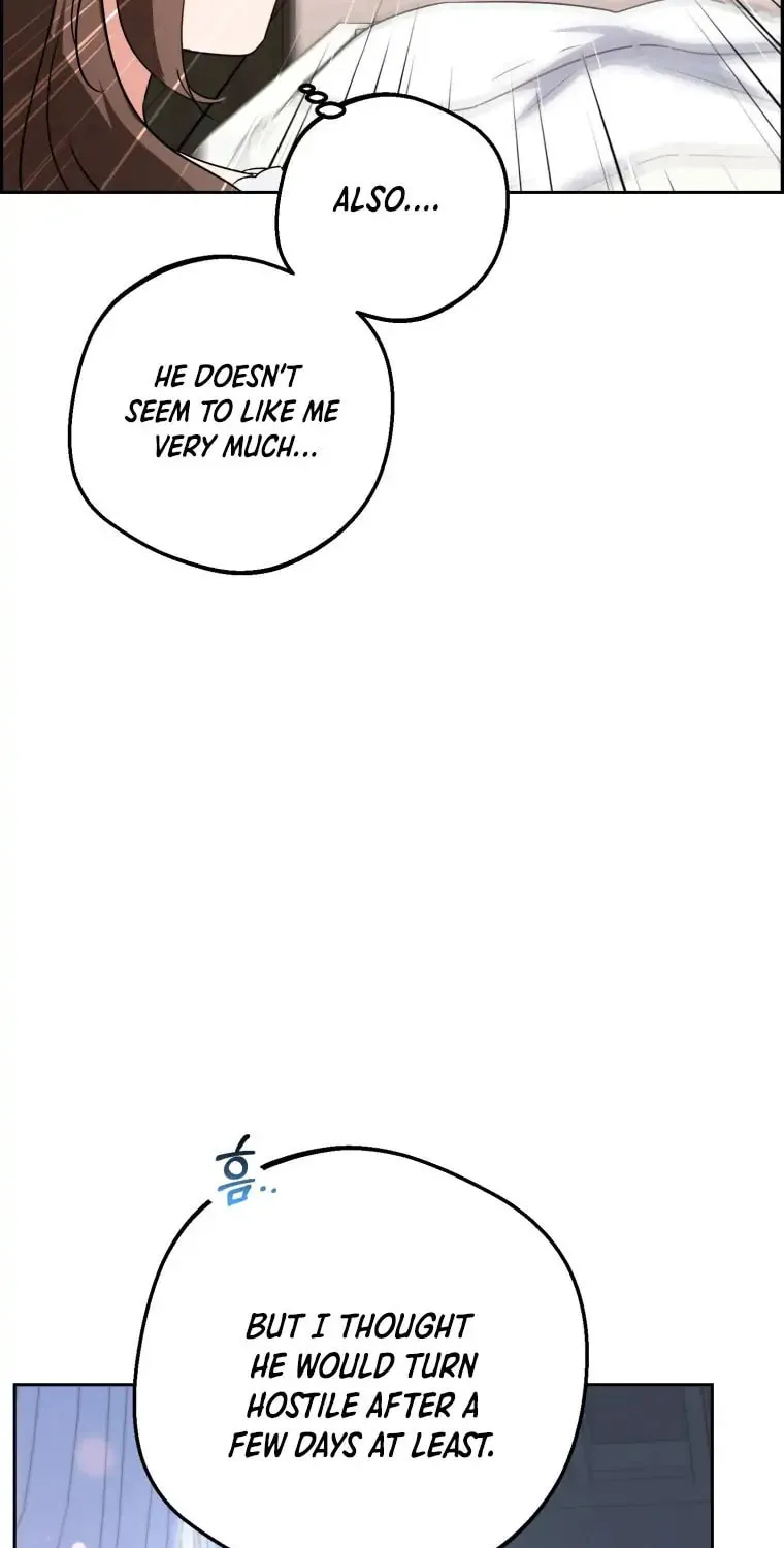 The Villainess Is Shy in Receiving Affection Chapter 7 page 17 - 