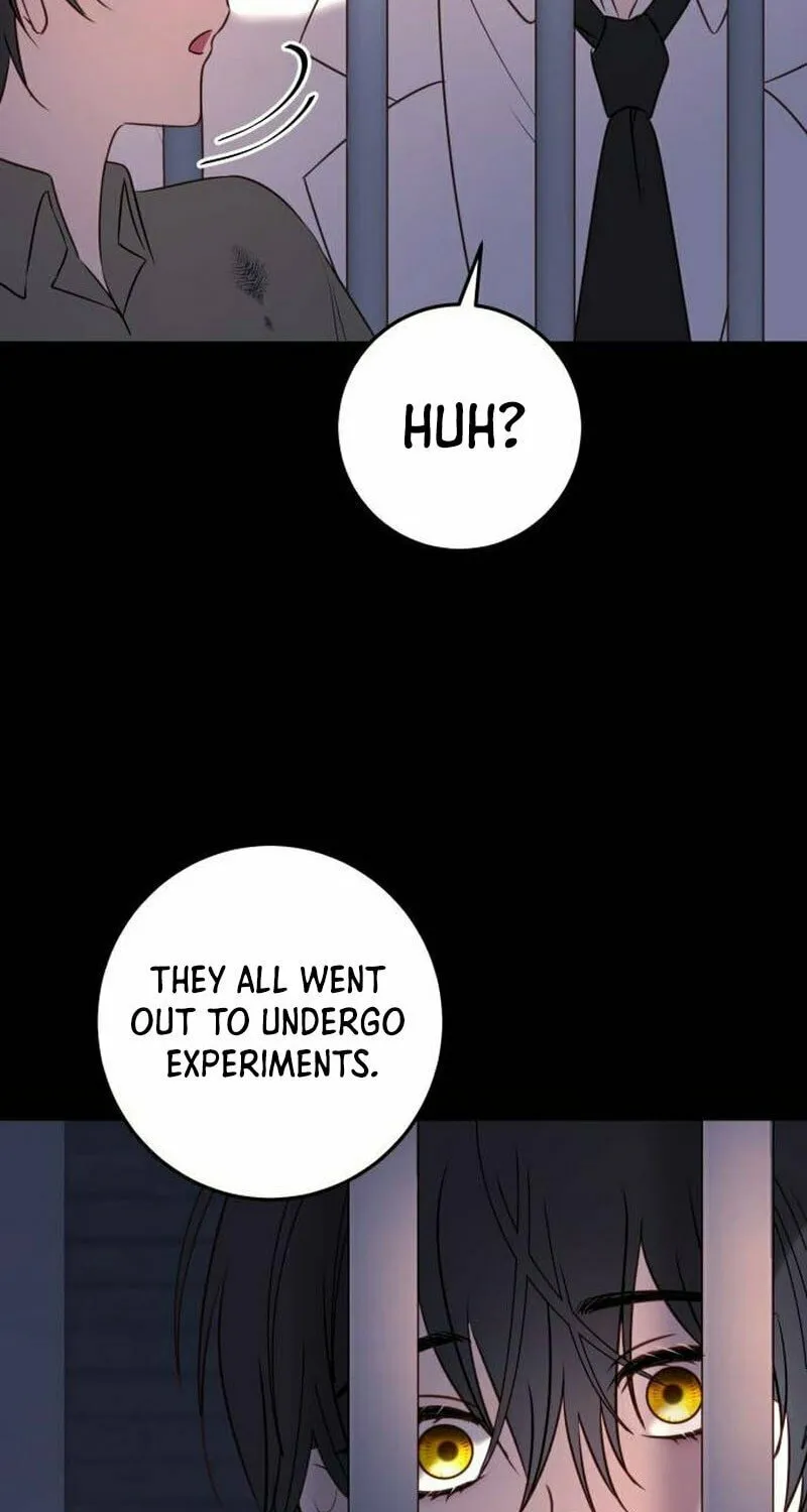 The Villainess Just Wants to Live in Peace! Chapter 12 page 66 - 