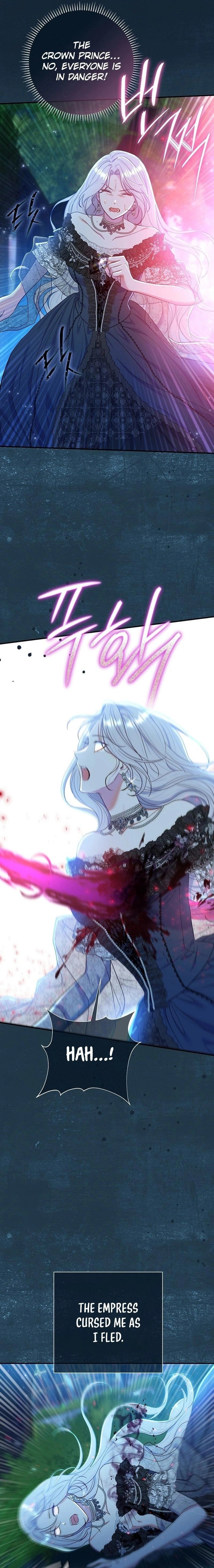 The Villainess