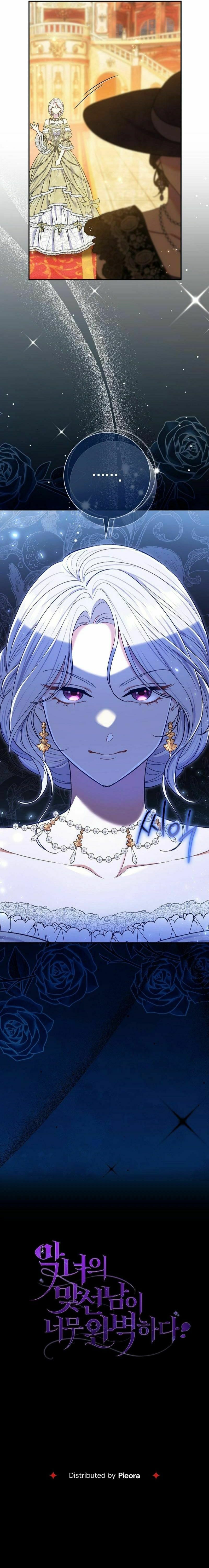 The Villainess