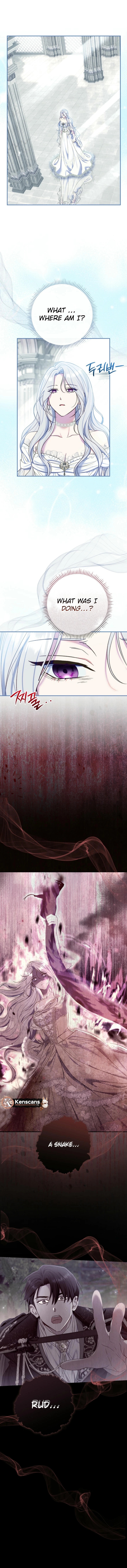 The Villainess