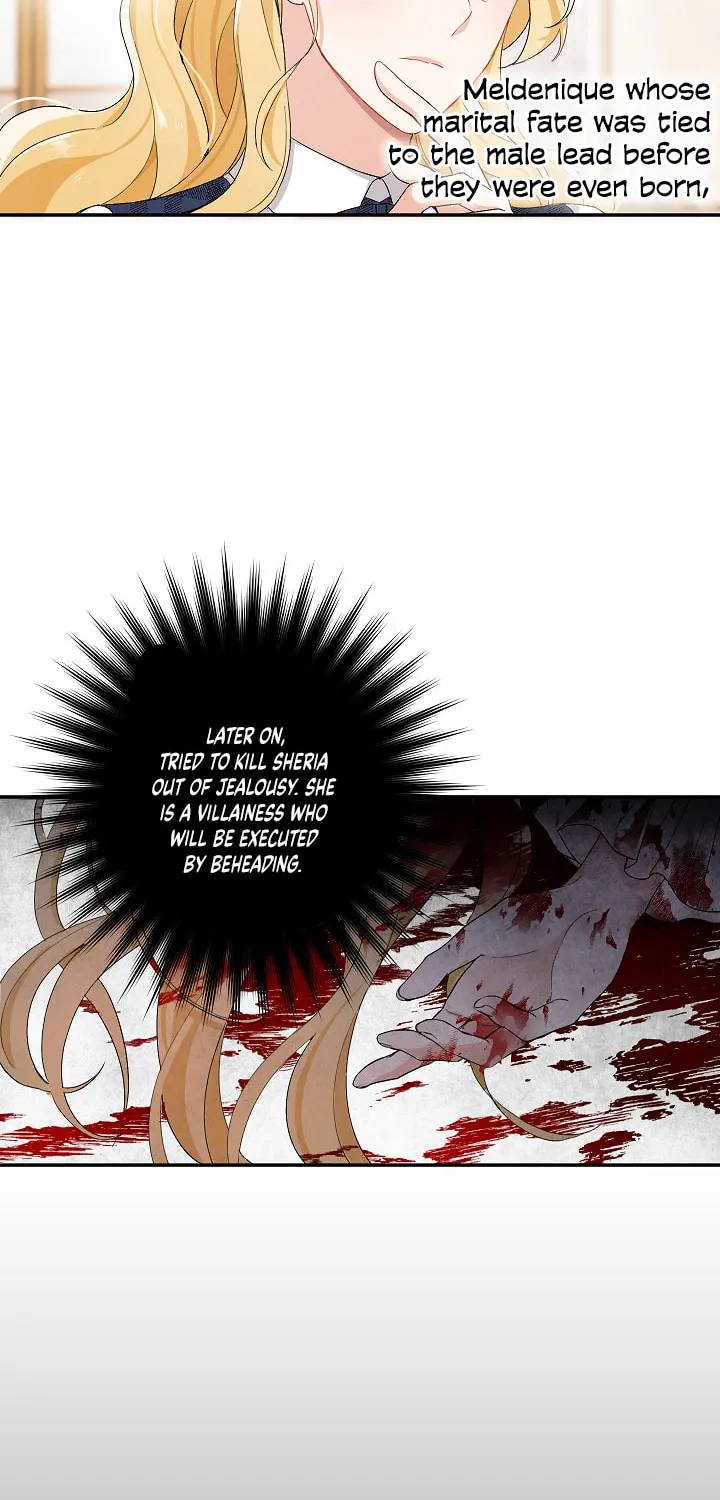 The Villainess