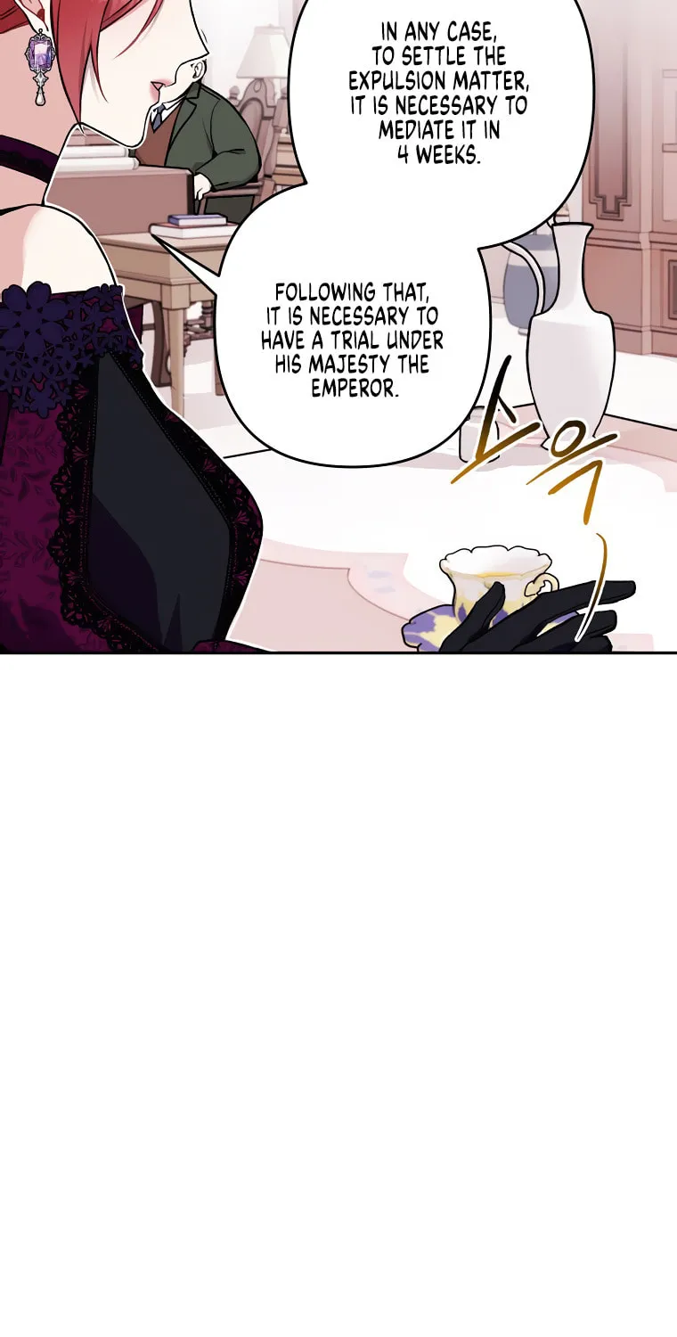 The Villainess