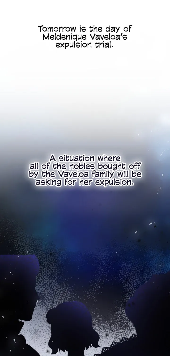 The Villainess