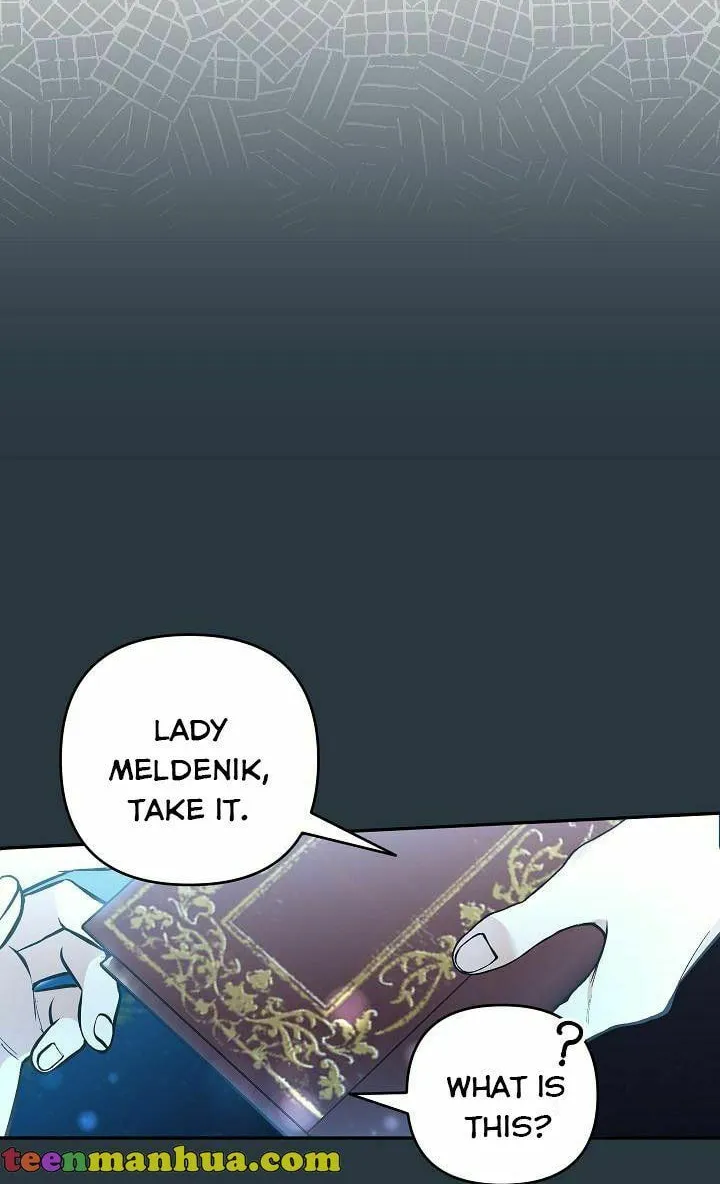 The Villainess