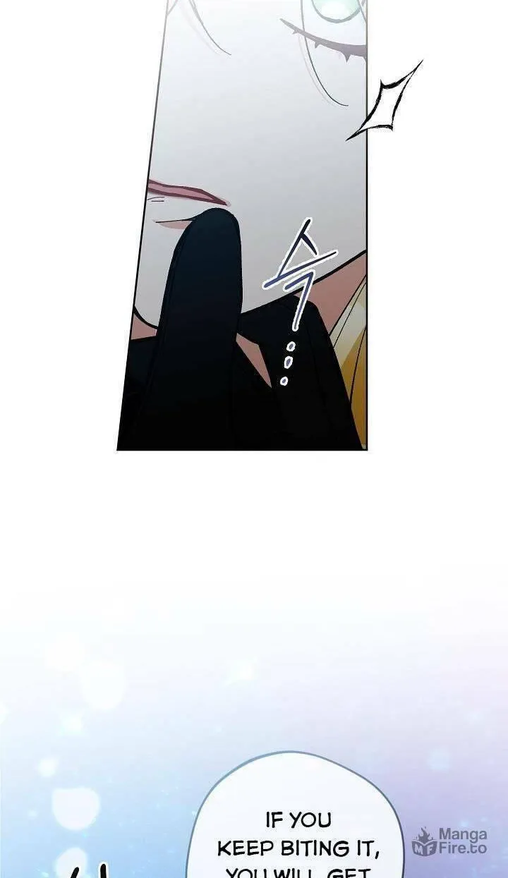 The Villainess
