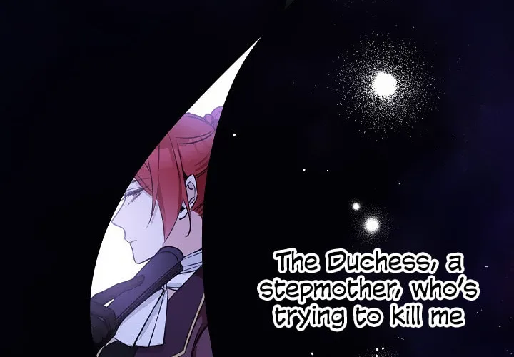 The Villainess