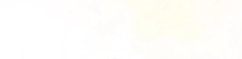 The Villainess