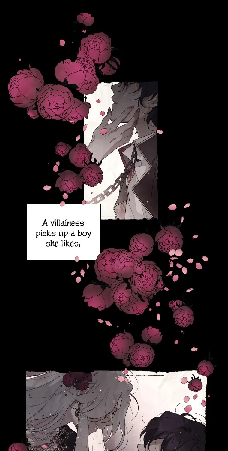 The Villainess Tames The Beast Chapter 2 page 9 - 