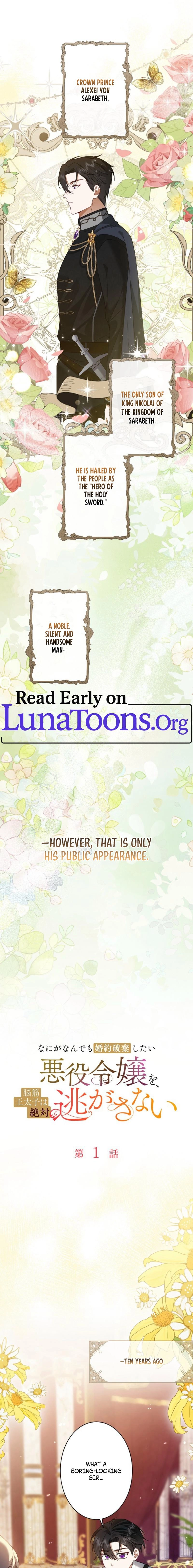  Chapter 1 page 1 - 