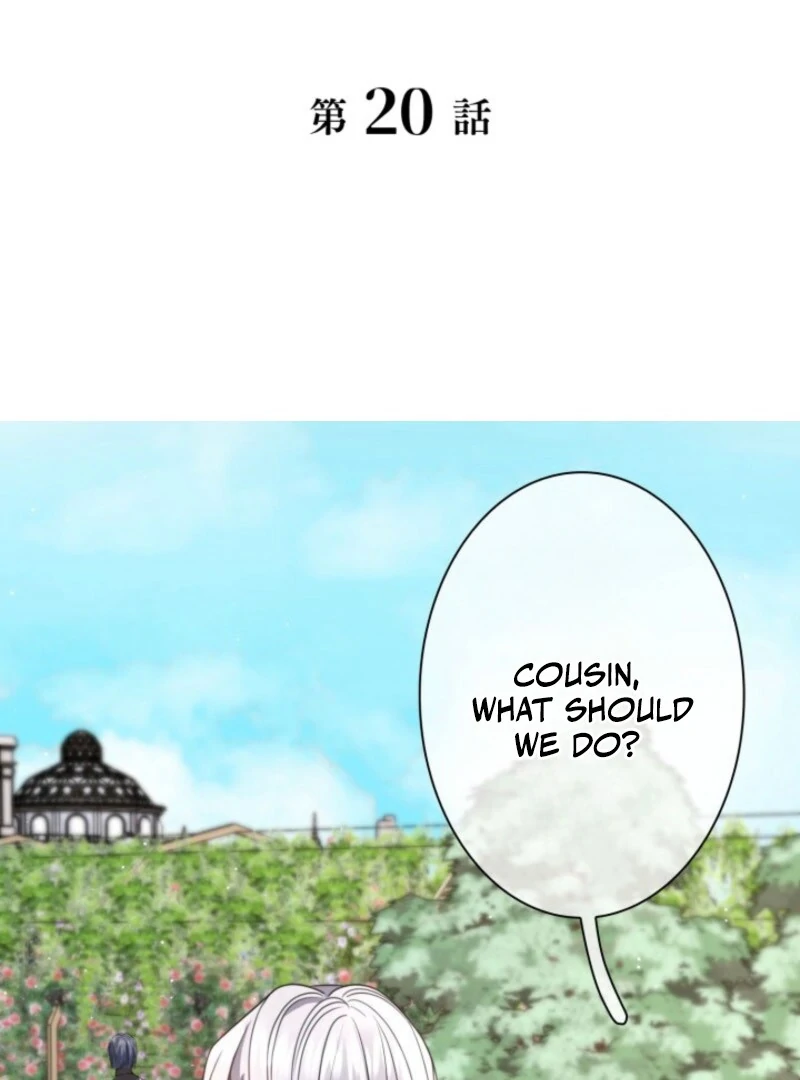 The Villainess Will Bring Down the Marquis’s House! Chapter 20 page 2 - 
