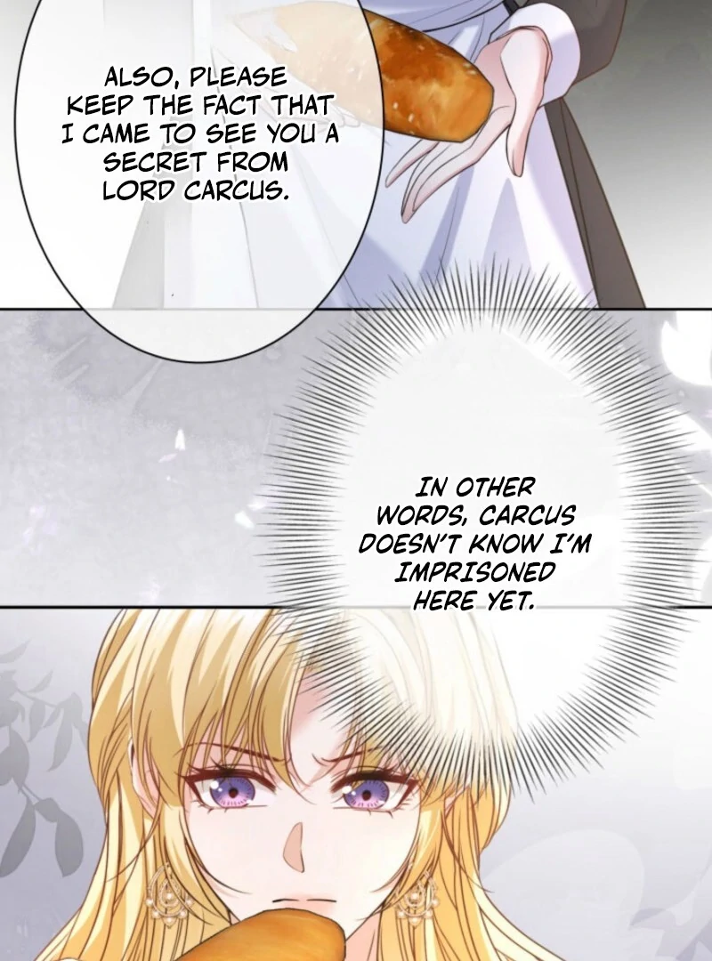 The Villainess Will Bring Down the Marquis’s House! Chapter 20 page 33 - 