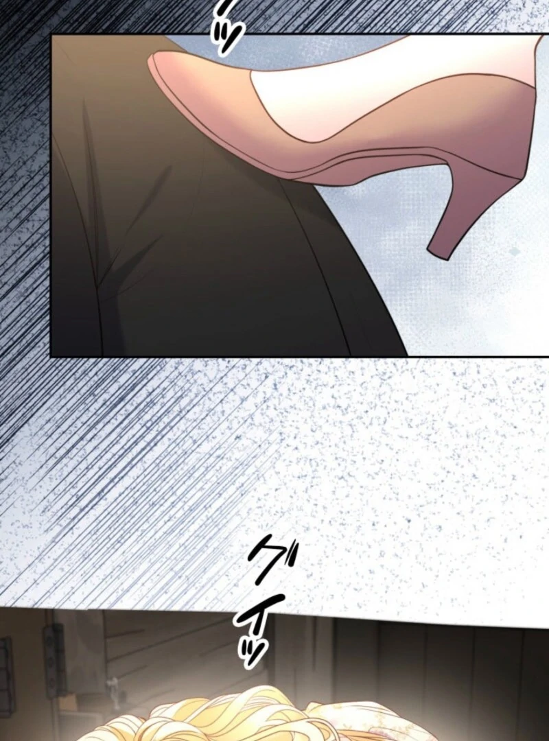 The Villainess Will Bring Down the Marquis’s House! Chapter 20 page 69 - 